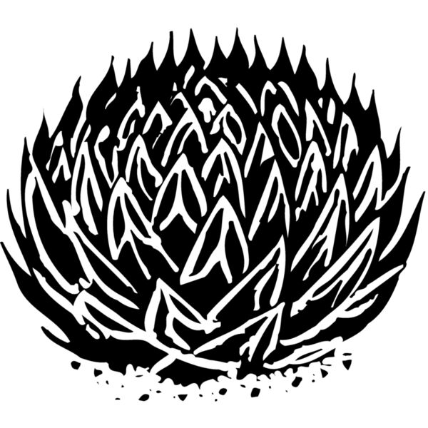 Plants Thumbnail